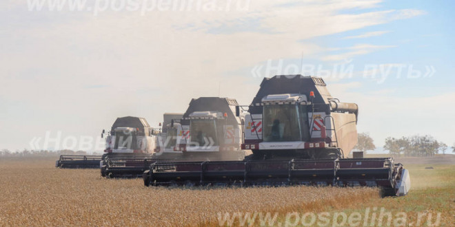 Уборка зерновых в Поспелихинском районе подходит к завершению.