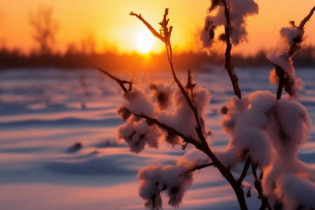 20 февраля в Алтайском крае будет аномально морозная погода