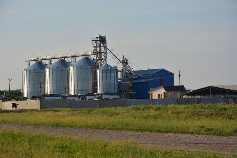 Газ в алтайском крае. Село калмыцкие Мысы Алтайский край. СПК Знамя Родины Поспелихинский район.