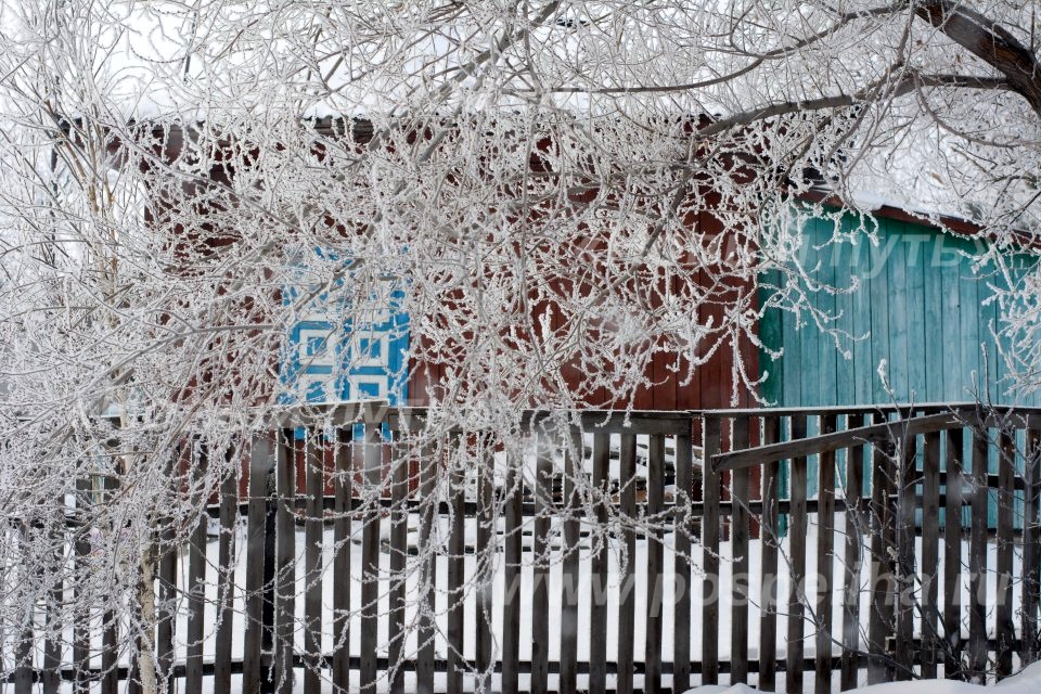 Погода село красноярское алтайского края