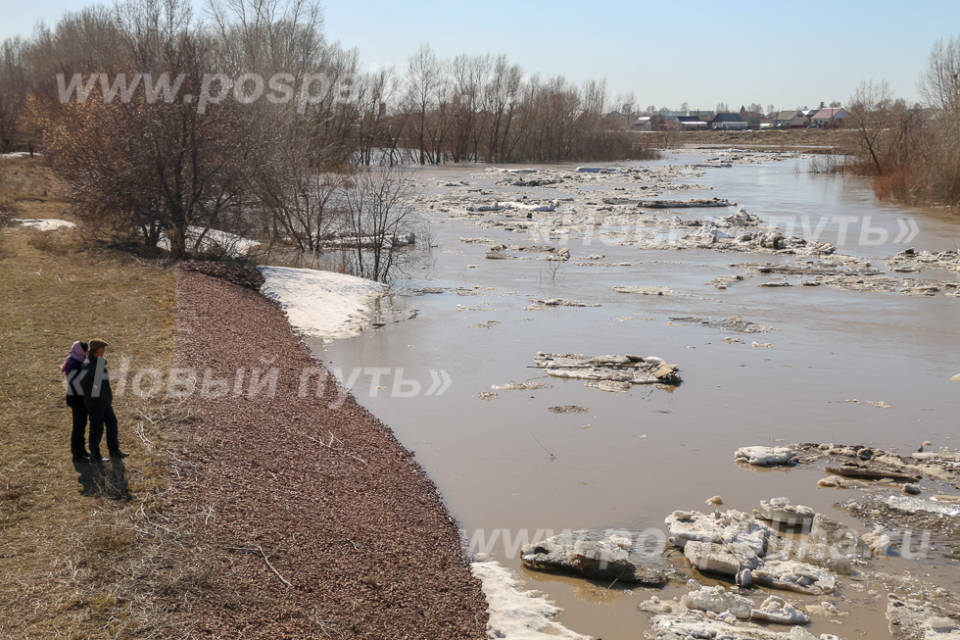 Алей экспре. Аллей река. Разлив реки "2022" -2021 -. Разлив реки в Липецке. Травяной пляж на разливе реки.