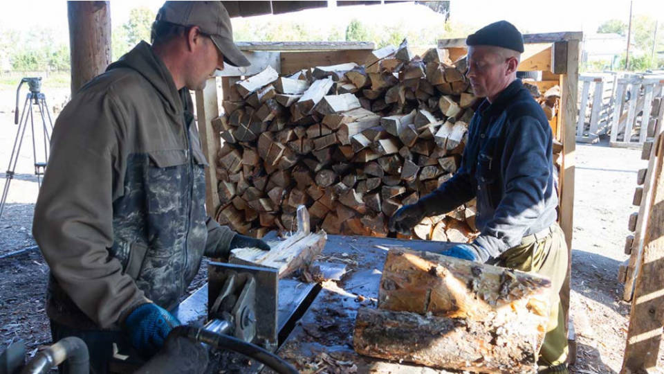 Комлесхоз опубликовал рекомендации по выбору дров на зиму